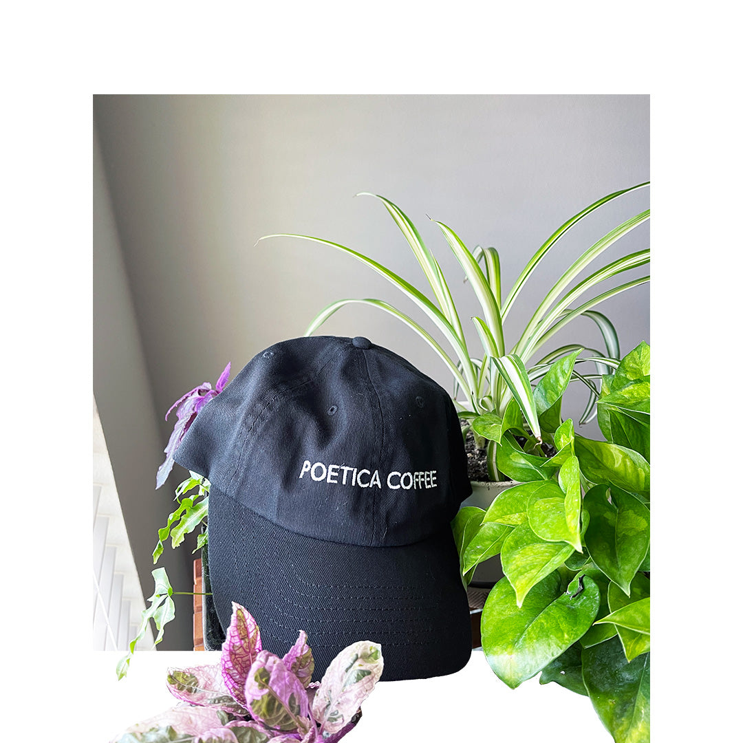 Black "Poetica Coffee" dad hat surrounded by houseplants – Valucap VC300a
