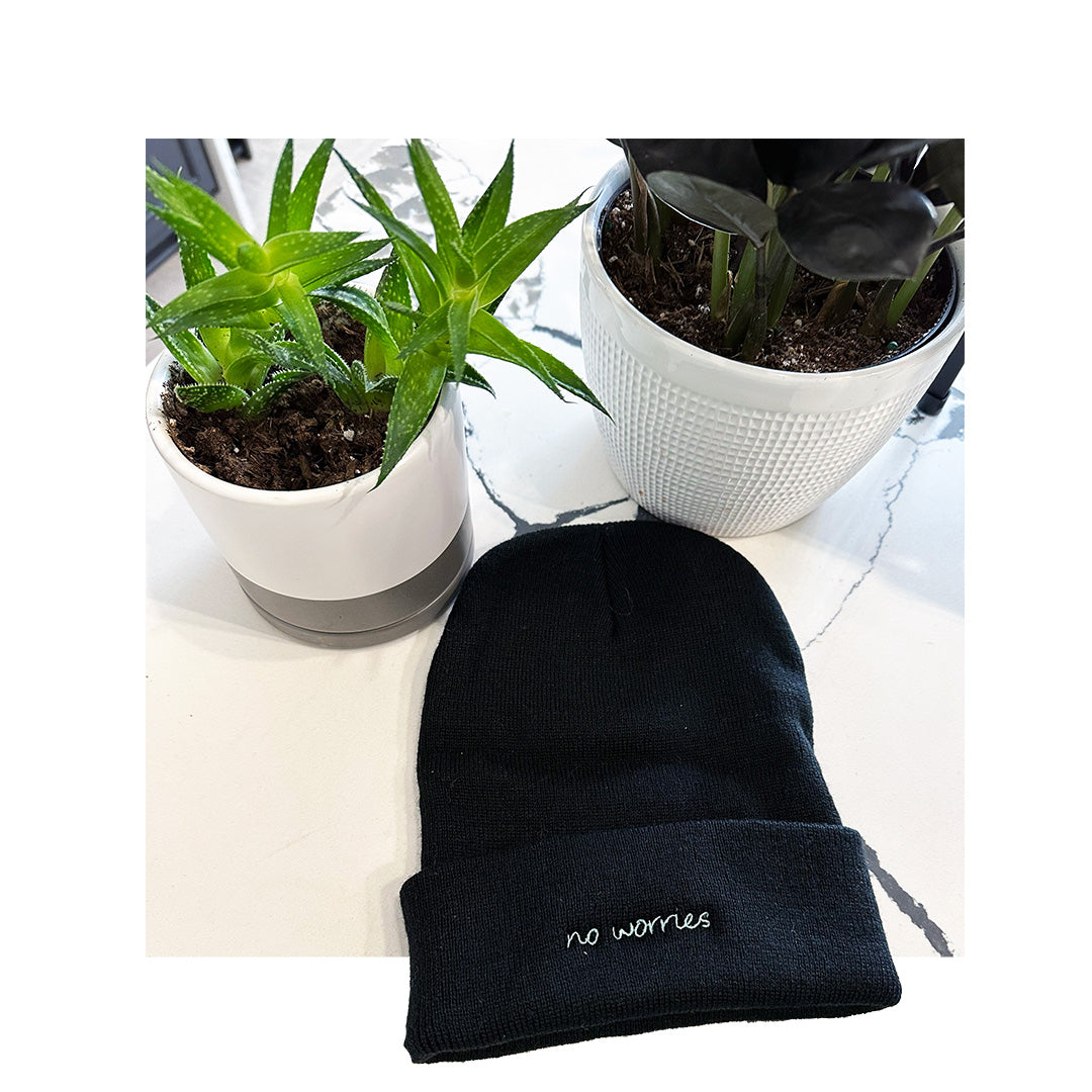 Black Sportsman SP12 beanie with minimal embroidered text 'no worries' placed beside houseplants